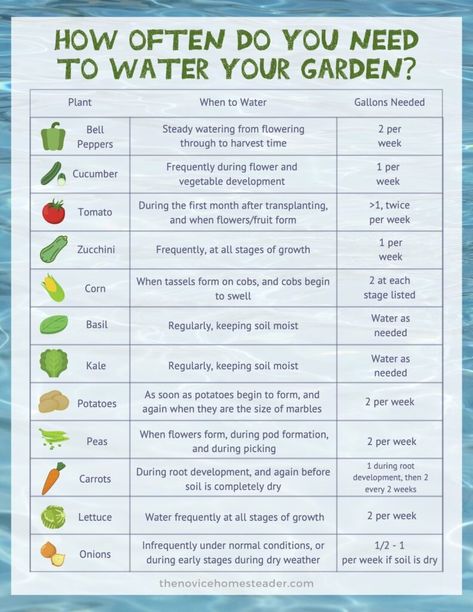 Gardening, When To Plant Vegetables, Garden Watering Schedule, Vegetable Garden For Beginners, Gardening Tips, Garden Veggies, Vegetable Garden Planning, Vegetable Garden Diy, Watering