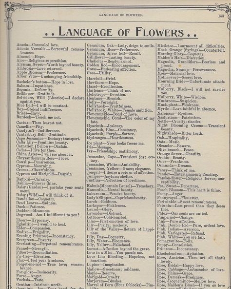 The Language of Flowers [free vintage printables] Books, Writing A Book, Vintage, Book Of Shadows, Inspiration, Language Of Flowers, Literature, List Of Aesthetics, Meant To Be