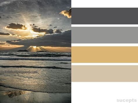 Gray And Gold Color Palette, Grey Brown Gold Color Scheme, Grey And Gold Color Scheme, Grey And Gold Color Palette, Grey Gold Color Palette, Grey Color Scheme, Grey And Gold Colour Palette, Grey Color Palette, Grey Gold Colour Palette