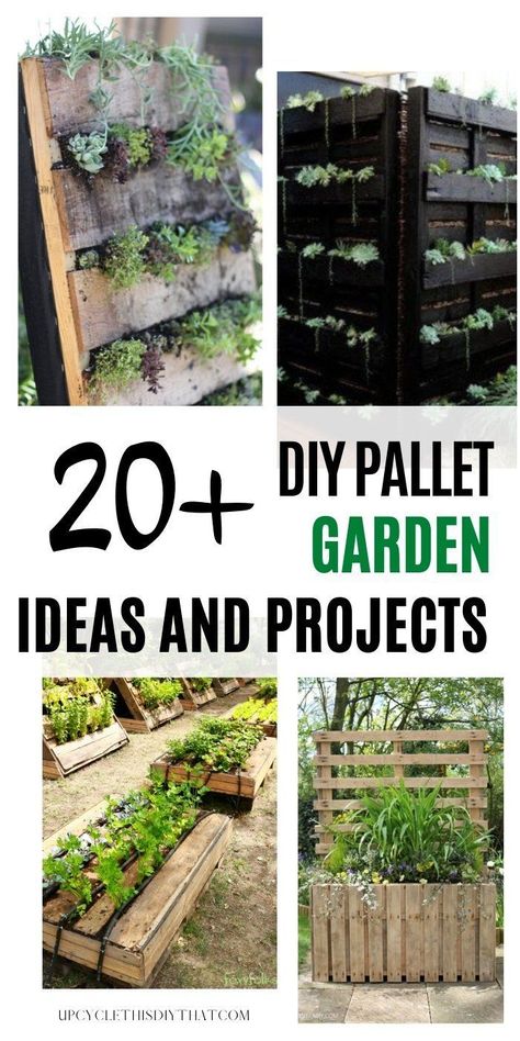 Decoration, Outdoor, Diy, Pallet Garden Ideas Diy, Pallet Planter Diy, Diy Pallet Vertical Garden, Pallet Garden Projects, Outdoor Pallet Projects, Pallet Garden Box