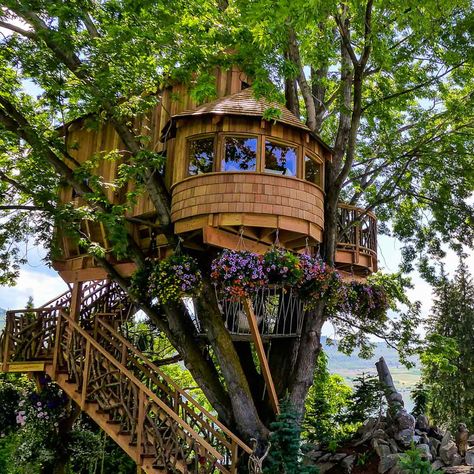 50 DIY Treehouses Made From Reclaimed Materials | Family Handyman Home Décor, Outdoor, Tree House Diy, Tree House, Tree House Designs, Building A Treehouse, Tree House Plans, Cool Tree Houses, Tiny House