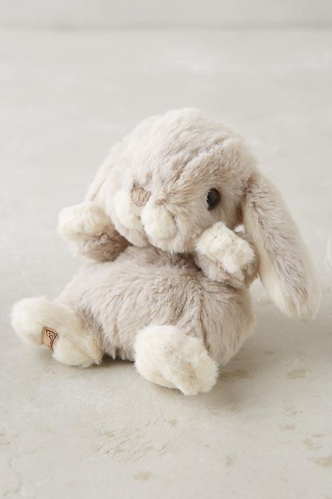 Cuddly, Bunny Stuffed Animals, Bunny Plush, Teddy Bear, Cute Stuffed Animals, Cute Squishies, Bunny Soft Toy, Plushies, Bunny Toys
