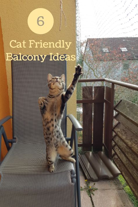 cat friendly balcony Inspiration, Interior, Cat Proof Balcony, Outdoor Cat House, Cat Friendly Home, Outdoor Cats, Cat Proofing, Cat Walkway, Cat Area