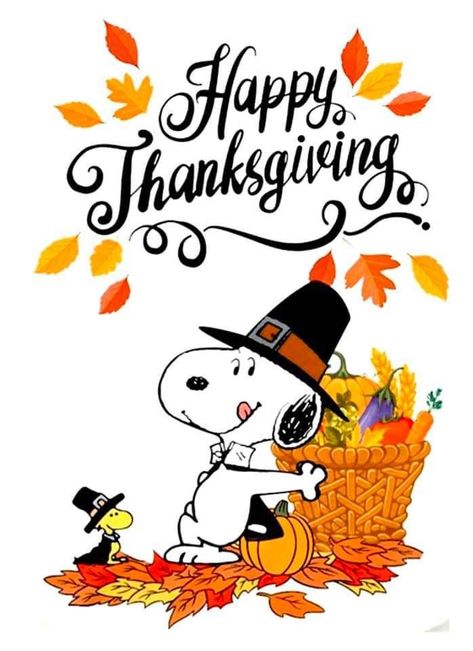 Thanksgiving, Snoopy, Halloween, Buongiorno, Thanksgiving Pictures, Happy Thanksgiving Pictures, Thanksgiving Images, Happy Thanksgiving Day, Happy Thanksgiving Images