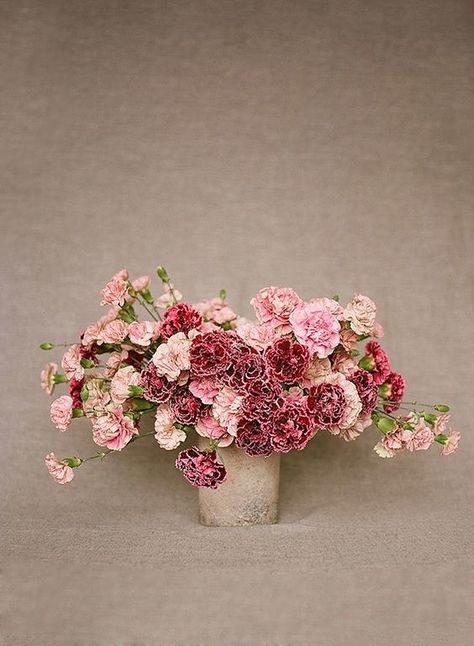 Floral, Pink, Floral Arrangements, Flora, Red Carnation, Pink Carnations, Flower Arrangements, Florals, Floral Design