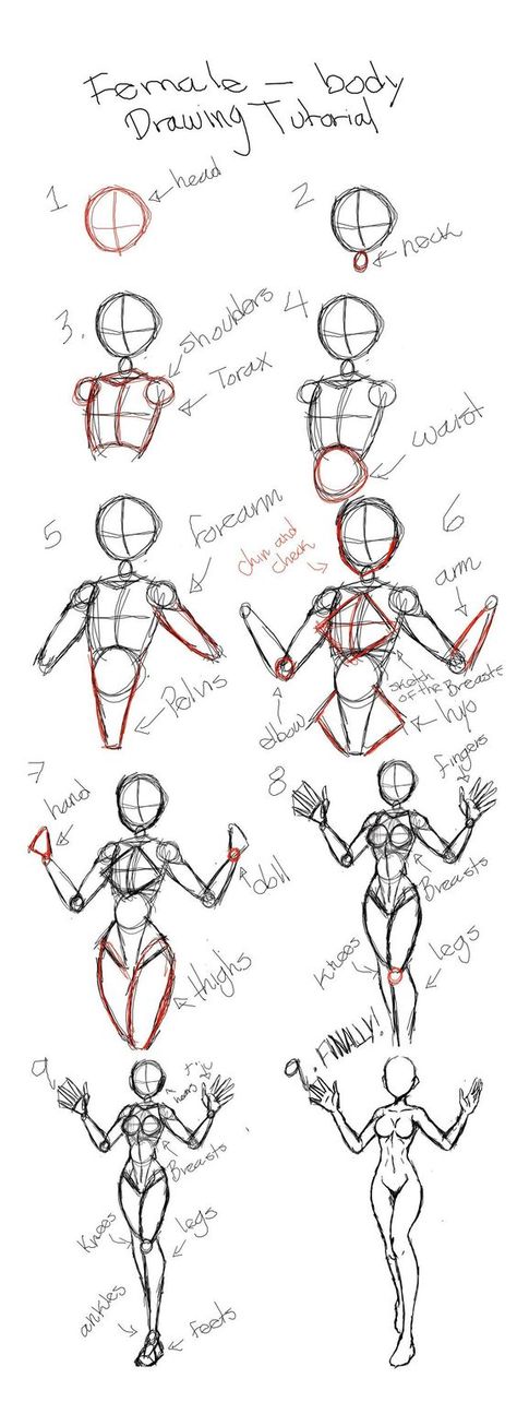 Draw, Pose Reference, Body Drawing Tutorial, Body Drawing, Manga Drawing, Body Sketches, Drawing Female Body, Drawing Reference, Anime Drawings Tutorials
