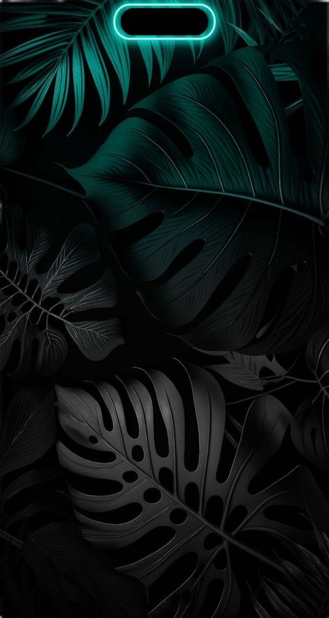 With the release of the highly anticipated iPhone 15 iPhone Pro Max Wallpapers - Wallpaper Cave... Foliage Wallpaper, Dynamic Island, Image Dbz, Black Hd Wallpaper, Unique Iphone Wallpaper, Iphone Dynamic Wallpaper, Iphone Wallpaper For Guys, Island Wallpaper, Iphone Wallpaper Stills