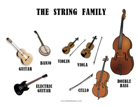 The String family: when playing an instrument in the string family, one can use his or her fingers to strum the string or draw a bow across the strings to make them vibrate. The vibrations are pretty quiet, so a a hollow part of the instruments body amplifies the sound. the Head of the instruments is where one end of the string is attached. Using knobs, you can tune your instrument to play different frequencies. Musical Instruments, Musicals, Music Education, Types Of Music, Music Lessons, Learn Music, Instruments, Instrument Families, Music Instruments
