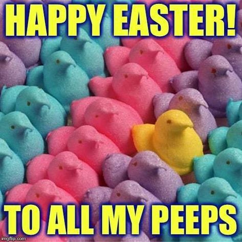 Happy Easter to all my PEEPS!  Don't miss our funny Easter memes and images for sharing #easter #easterbunny #funnymemes #funny #funnypictures #memes #memesdaily #memesfacebook #lol #peeps Friends, Humour, Easter Eggs, Easter, Happy Easter, Easter Celebration, Peeps, Egg Meme, Holiday Humor