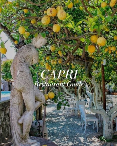 Cozy restaurant on capri with lemon trees and white tables Rome, Capri, Trips, Amalfi, Naples, Amalfi Coast, Italy Destinations, Mediterranean Cruise, Amalfi Coast Restaurants