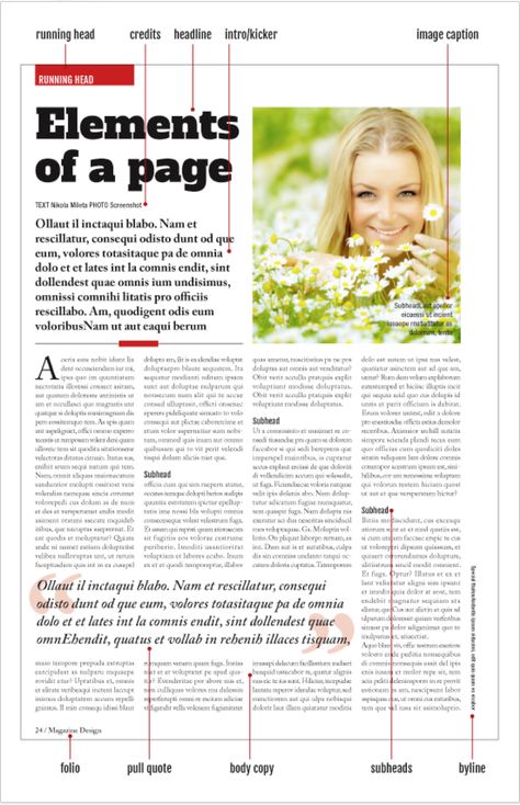 Hey, I'm Jesslyn.: Magazine Page Anatomy / week 1 Layout, Brochure Design, Editorial, Editorial Layout, Article Design, Publication Design, Catalogue Design, Magazine Design, Editorial Design Layout