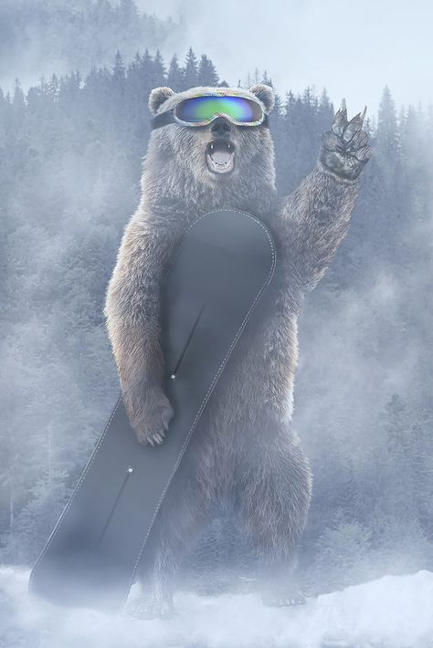 Bear Snowboard, #Snowboard, #Bear Punk, Snowboards, Bear, Animaux, Animales, Surf, Snowboarding Wallpaper, Snowboarding, Snowboard