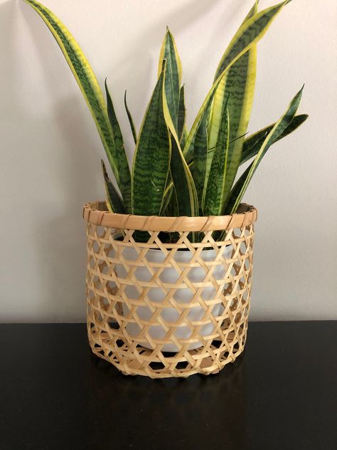 "If you are looking for eco friendly products, we hope our handmade bamboo basket can be one of your choices. The basket can be used as a decorative basket for plants or decorative basket for fruits. * Decorative basket/Hand woven * Material: Bamboo * Size : W8\" x H7\" * Color: Natural color * Eco-friendly product * Ship from US with tracking number provided And my love for environment inspires how I run my shop. I do all I can to minimize my footprint by offering eco-friendly products and usin Boho, Bamboo Basket, Plant Basket, Bamboo Planter, Decorative Pots, Decorative Basket, Bamboo Crafts, Natural Baskets, Bamboo