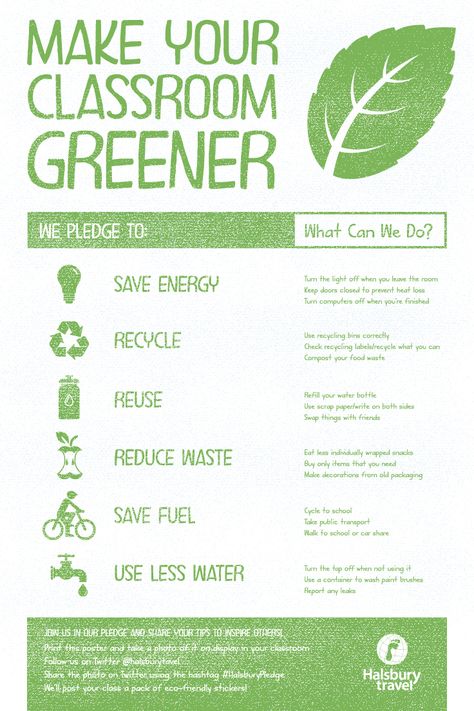 To celebrate the start of a new term, we’ve created a free classroom poster to help students remember that there are tonnes of zero waste and sustainable choices they can make throughout the school day to live more sustainably.   #zerowaste #sustainable #sustainability #noplastic #recycle #recycling #classroom #poster #eco #teacher #noplanb #ecowarrior Classroom Posters, English, Primary School Education, Sustainability Projects, Sustainability Education, Elementary Schools, Sustainable Schools, Teaching Plan, Teaching Practices