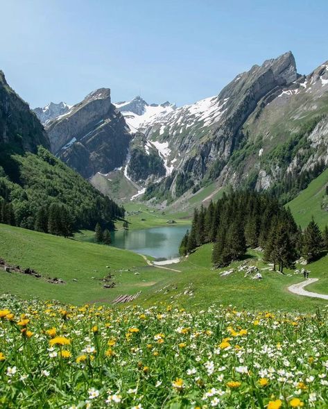 Resim, Sultan, Bunga, Fernweh, Alpen, Fotos, Fotografie, Fotografia, Beautiful Nature