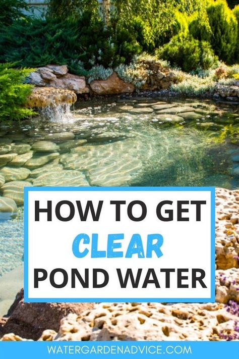Decks, Gardening, Ponds For Small Gardens, Pond Cleaning, Diy Ponds Backyard, Natural Swimming Ponds, Pond Maintenance, Pond Water Features, Outdoor Ponds Diy