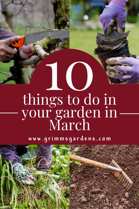 This photo features four background images of people doing different gardening tasks: trimming branches, filling flower pots with soil, weeding and raking soil. Text overlay reads "10 things to do in your garden in March" sourced from www.grimmsgardens.com Diy, Garden Care, Outdoor, Spring Gardening Checklist, March Gardening Checklist, Spring Planting Guide, Spring Gardening Prep, Garden Checklist, Planting Plan