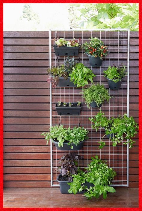[AffiliateLink] 79 Impressive Herb Garden Planter Guides You'll Be Amazed By This Fall #herbgardenplanter Garden Planters, Vertical Herb Garden, Vertical Vegetable Garden, Herb Garden Planter, Outdoor Herb Garden, Vertical Herb Gardens, Vertical Vegetable Gardens, Herb Garden Wall, Indoor Herb Garden