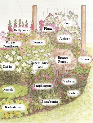 Garden Types, Gardening, Back Garden Landscaping, Garden Planning, Garden Design, Garden Landscaping, Garden Layout, Garden Design Plans, Garden Design Layout