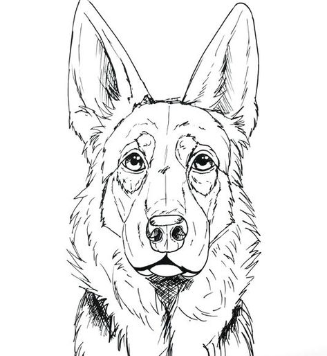 This page will show you how to draw a German Shepherd’s face and head in step-by-step guides.  The first tutorials will be easier and for beginners, and each tutorial will get more advanced. How to Draw a German Shepherd Face Step-by-Step This will be one of the easier tutorials, which can be followed along step-by-step. ... Doodles, Dog Sketch Easy, Dog Drawing Tutorial, Dog Sketch, Dog Drawing, How To Draw Dogs, Animal Sketches Easy, Dog Sketches, Dog Portraits Painting