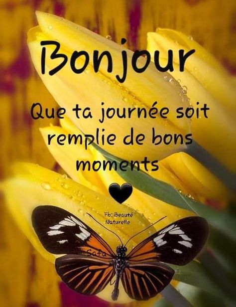 Images Bonjour, Bonjour, Buongiorno, Parole, Buenos Dias, Morning Greetings Quotes, Messages, Amor, Good Morning
