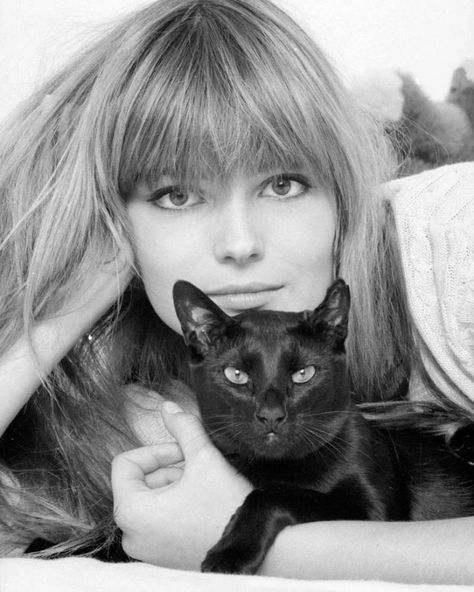 Cats Images, Celebrities With Cats, Gatos Cool, Paulina Porizkova, Photo Chat, Foto Poses, Cat Photography, Cat People, Cat Person