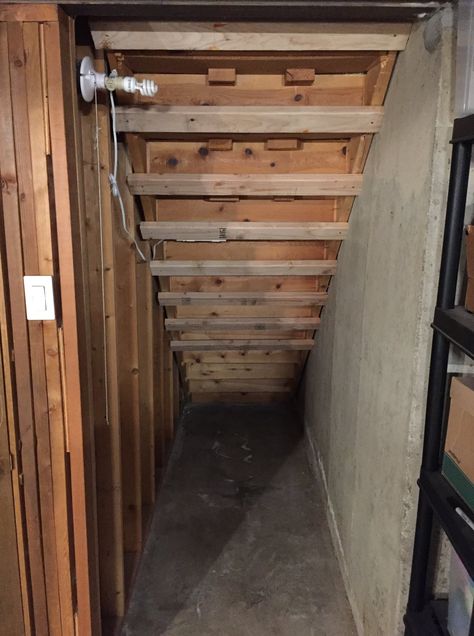 Building an Under-Stair Cloffice (Closet Office) – Evan Crouch Small Home Office Under Stairs, Finished Basement Stairs Ideas, Understairs Basement Storage, Office Under Stairs With Door, Small Office Under Staircase, Craft Room Under The Stairs, Bar Area Under Stairs, Split Level Under Stairs Ideas, Walk In Closet Under Stairs