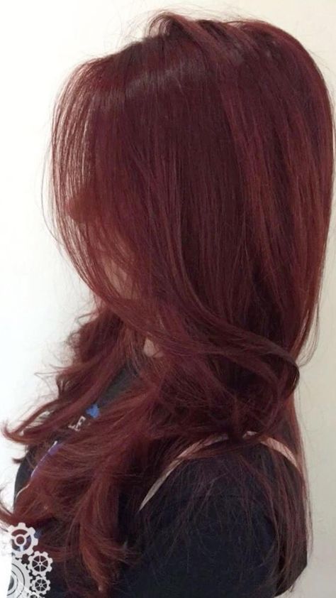 Red Highlights, Reddish Purple Hair, Red Burgandy Hair, Red Brown Hair, Red Burgundy Hair Color, Red Black Hair, Auburn Red Hair, Black Red Hair, Dark Red Brown Hair