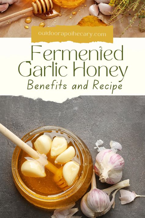 Garlic Remedies, Fermented Honey, Garlic And Honey Benefits, Tinctures Recipes, Honey Remedies, Garlic Benefits, Fermented Foods, Honey Benefits, Natural Cold Remedies