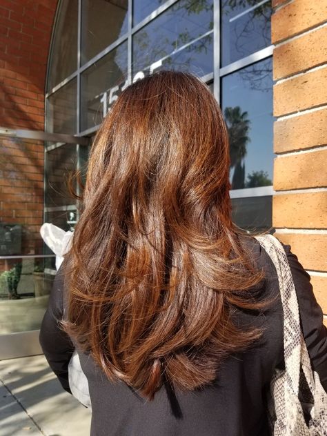 Balayage, Copper Brown Hair, Copper Highlights On Brown Hair, Red Brown Hair, Chestnut Brown Hair, Brown Auburn Hair, Warm Brown Hair, Copper Hair, Dark Red Highlights In Brown Hair