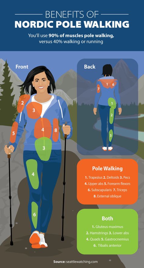Great idea for getting in shape for hiking. Benefits of Nordic Pole Walking - Beginner’s Guide to Nordic Pole Walking Abs, Exercises, Lower Abs, Health Fitness, Health Tips, Fitness, Cardiovascular System, Upper Abs, Health Benefits