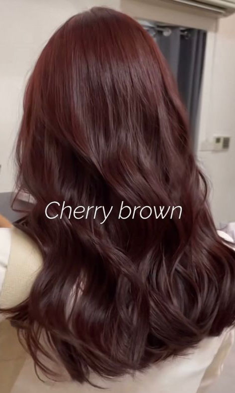 Korean winter hair color: cherry brown Mushroom Brown Hair Color Olive Skin, Red Brown Hair With Balayage, Red Toned Brown Hair With Highlights, New Hair Color Ideas For Brunettes Dyes, Dark Colors For Hair, Hair Color Ideas Cinnamon, Brunette Red Lowlights, Hair Color Ideas For Black Hair Indian, Red With Dimension