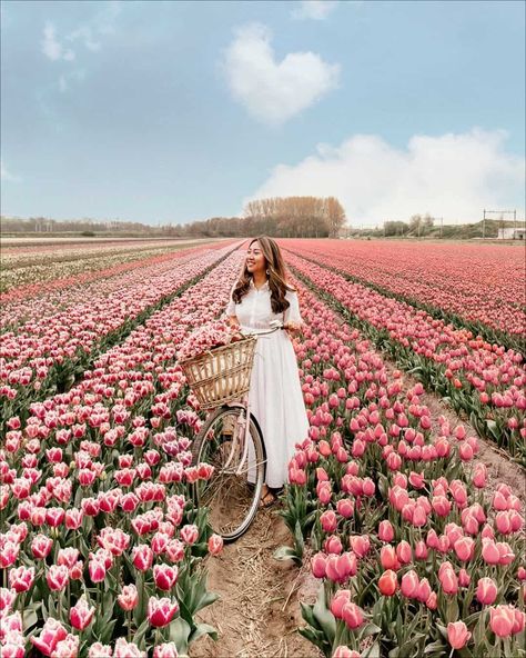 Trips, Travel Photos, Wanderlust, Amsterdam, Amsterdam Tulips, Amsterdam Photos, Beautiful Destinations, Amsterdam Photography, Where To Go