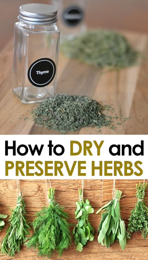Gardening, Drying Fresh Herbs, Preserve Fresh Herbs, Drying Herbs, Herb Drying Racks, Preserve Herbs, How To Grow Herbs, Freezing Fresh Herbs, Easy Herbs To Grow