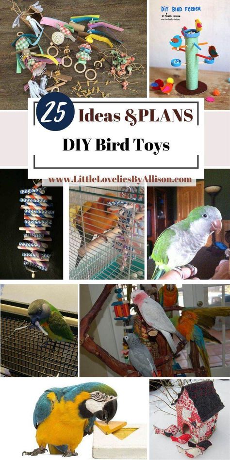 Diy, Diy Bird Toys, Diy Bird Cage, Homemade Bird Toys, Diy Pet Toys, Diy Budgie Toys, Diy Parrot Toys, Bird Toys, Diy Birds