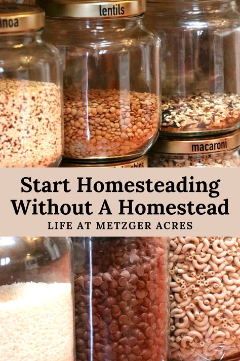 Start Homesteading Without a Homestead - Life at Metzger Acres Homestead Survival, Food Storage, Homemaking, Eten, Cuisine, Homemade, Healthy, Garten, Gourmet