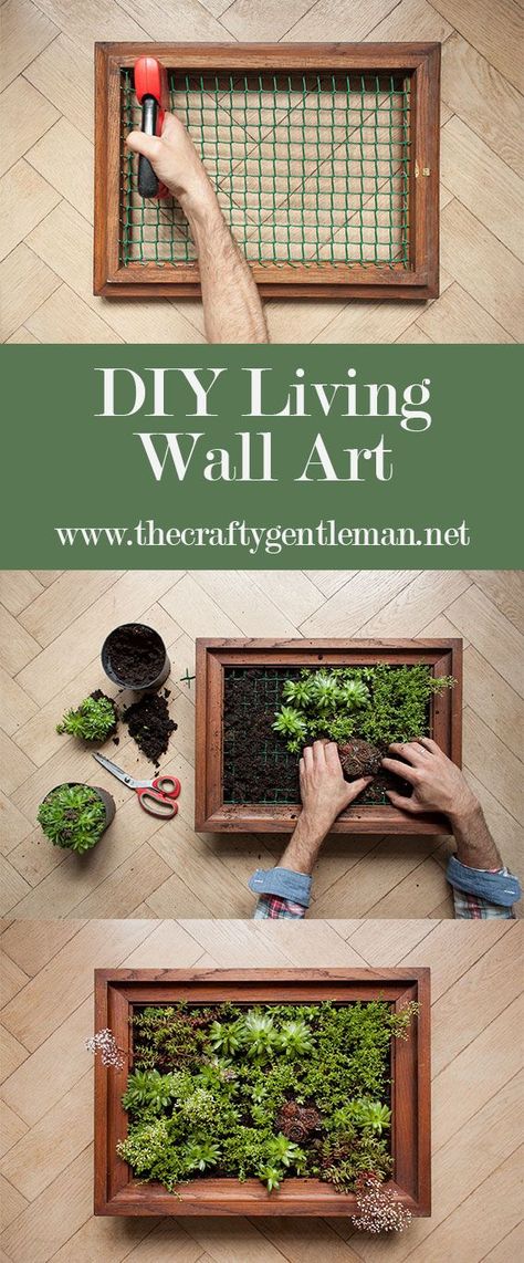 Garden Care, Home Décor, Diy Garden, Garden Wall Decor, Garden Wall Art, Moss Wall Art, Wall Garden, Diy Wall, Garden Wall
