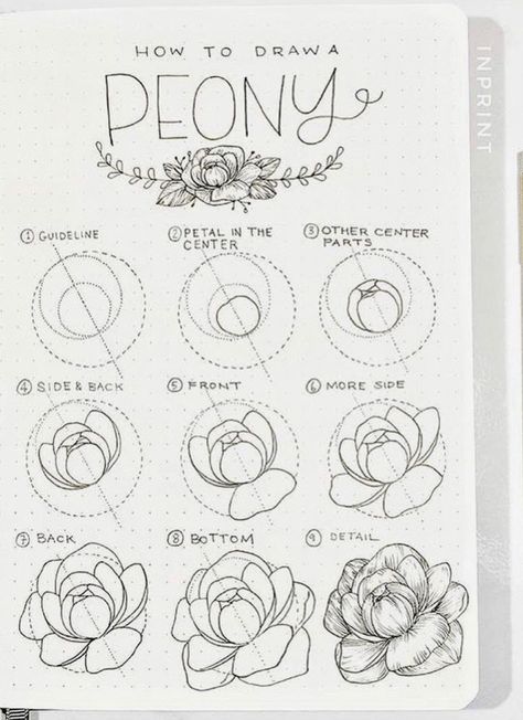 34 Best Step by Step Flower Doodle Tutorials for 2020 - atinydreamer Doodle Art, Art Lessons, Drawing Techniques, Painting & Drawing, Floral Drawing, Flower Drawing Tutorials, Marker, Flower Art Drawing, Art Tutorials