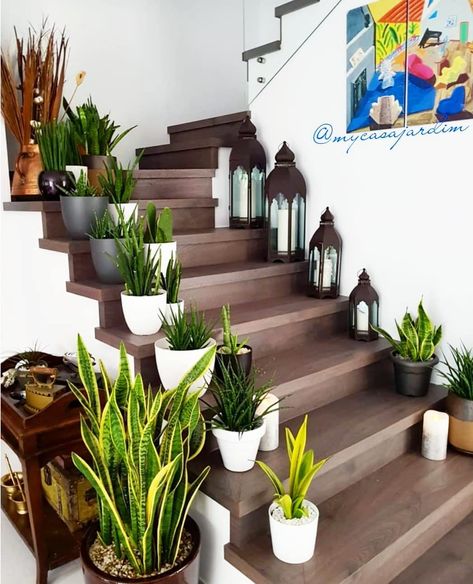Layout, Home Décor, Indore, Interior Garden, Design, Decoration, Home And Garden, Interior Plants, Indoor Plants Styling Living Rooms