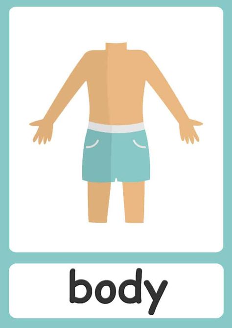 Body parts Flashcards Montessori, Teaching, Body Parts For Kids, Body Parts, Body Parts Preschool, Body Parts Theme, Body, Therapy Activities, Human Body Crafts