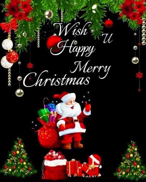 Happy Christmas Day Images For Whatsapp Natal, Kawaii, Floral, Happy Christmas, Merry Christmas Gif, Happy Christmas Day, Happy Merry Christmas, Merry Christmas Quotes, Merry Christmas Wishes