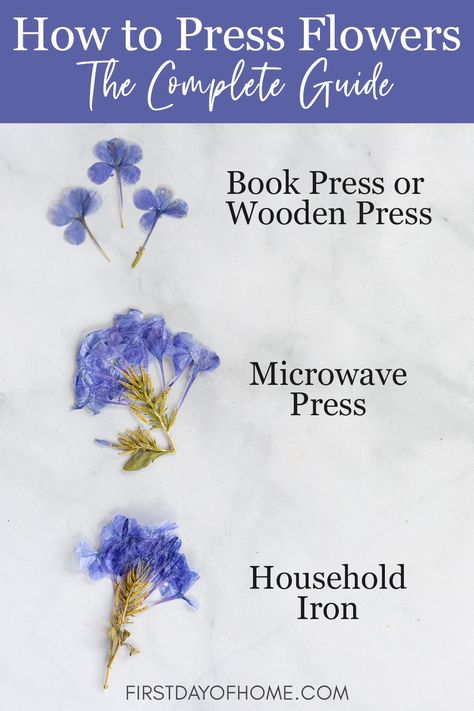 Upcycling, Diy, Gardening, Recycling, Crafts, Pressed Flowers, Pressing Flowers, Pressed Flowers Diy, Pressed Flower Crafts