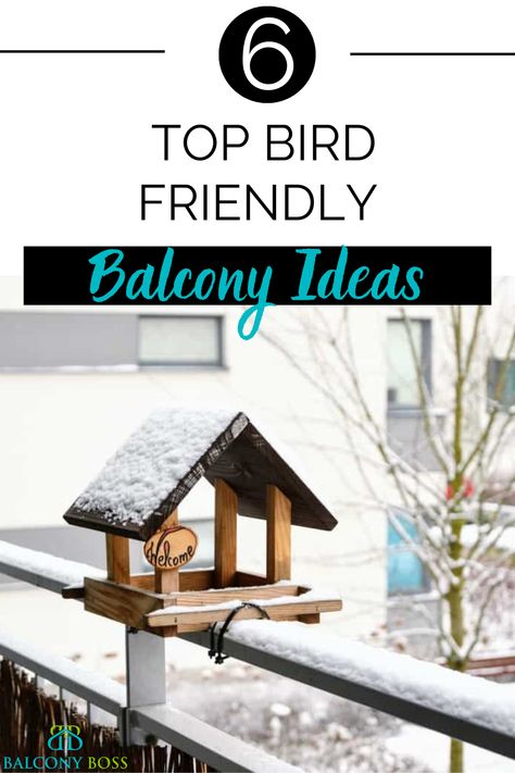 Love birds and want to attract more to your outdoor space? Creating a bird friendly balcony is much easier than you might think. In this post, we cover some of the best bird friendly balcony ideas, which you can use to develop your own paradise for local wildlife. Urban, Outdoor, Diy, Ideas, Gardening, Bird Feeders, Deck Shade, Bird House, Bird Houses