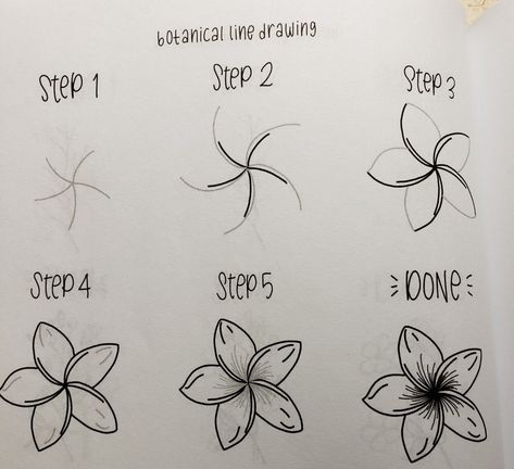 Doodle Art, Easy To Draw Flowers, How To Draw Flowers Step By Step, How To Draw Flowers, Learn To Draw Flowers, Easy Flower Drawings, What To Draw, Pen Sketch, Flower Drawing Tutorials
