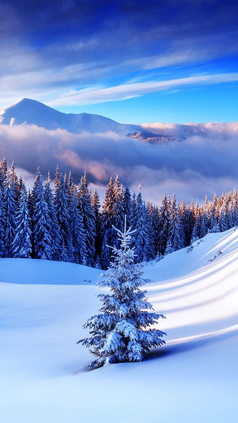 Jul, Christmas Wallpaper, Beautiful Pictures, Beautiful, Nature Pictures, Winter Wallpaper, Beautiful Nature, Serenity, Winter Pictures