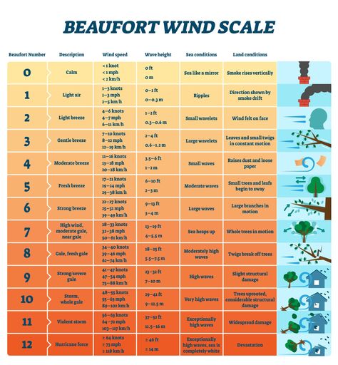 Image of the Beaufort scale for wind damage and speed. Storms, Meteorology, Category 5 Hurricane, Breeze, Storm Surge, System, Wind, Hurricane Facts