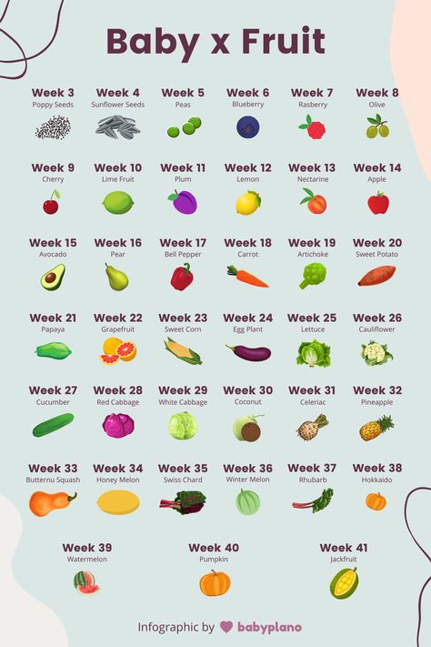 Use this fun infographic to compare your baby's size when pregnant to fruit and vegetablesNot only is it funbut it is also actually really helpfulbecause it gives you a much better understanding of what is going on in your uterus during pregnancyCompare your fetus size to fruit with this fun infographic from BabyplanoEvery size comparison from week 3 to week 41if you get that far in your pregnancy. Fruit, Ideas, Pregnancy Fruit, Baby Fruit Size, Pregnancy Food, Baby Week By Week, Weekly Pregnancy, Baby Weeks, Healthy Pregnancy