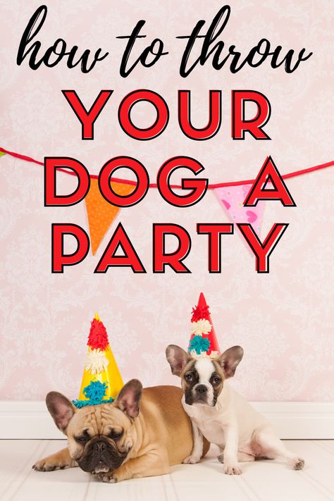 Party For Dogs, Puppy Birthday Parties, Dog Birthday Parties, Puppy 1st Birthday Party For Dogs, Dog Party Food, Dog Birthday Party Pets, Birthday Party For Dogs Ideas, Dog Party Decorations, Dog Birthday Party