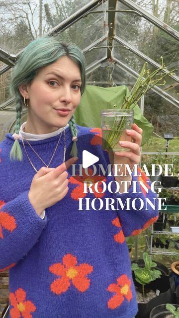 Amy Chapman on Instagram: "Make your own ✨ magical ✨ rooting hormone! It’s free, easy to make, and only contains two ingredients 🌱

🧪 The Science:
Willow contains natural compounds like indolebutyric acid (IBA) and salicylic acid, which help plants grow roots faster. Soaking willow sticks in water releases these compounds, creating a powerful solution that encourages quick root growth in cuttings.

Let me know if you try it 💚
#gardening #gardeningtips #growyourownfood" Instagram, Rooting Hormone, Root Growth, Root Recipe, Hormones, Plant Roots, Grow Your Own Food, Growing Plants, Plant Propagation
