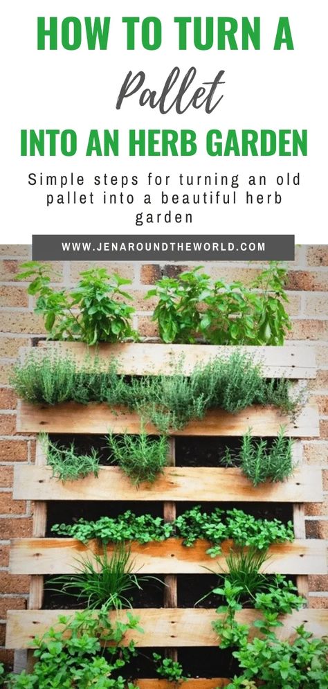 How to Turn a Pallet into an Herb Garden - Jen Around the World Shaded Garden, Container Gardening, Garden Planters, Diy Herb Garden, Pallet Herb Gardens, Herb Garden Pallet, Outdoor Herb Garden, Herb Planters, Indoor Herb Garden